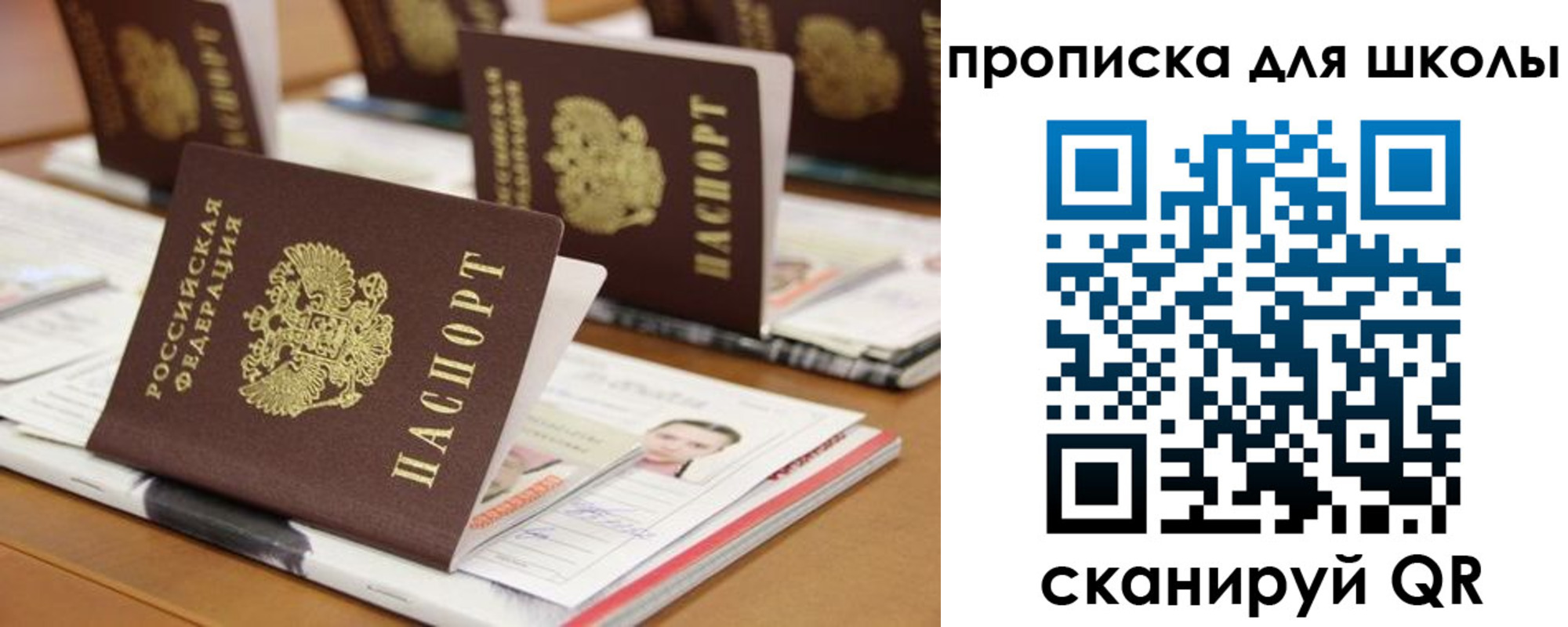 временная регистрация надежно в Калининградской области