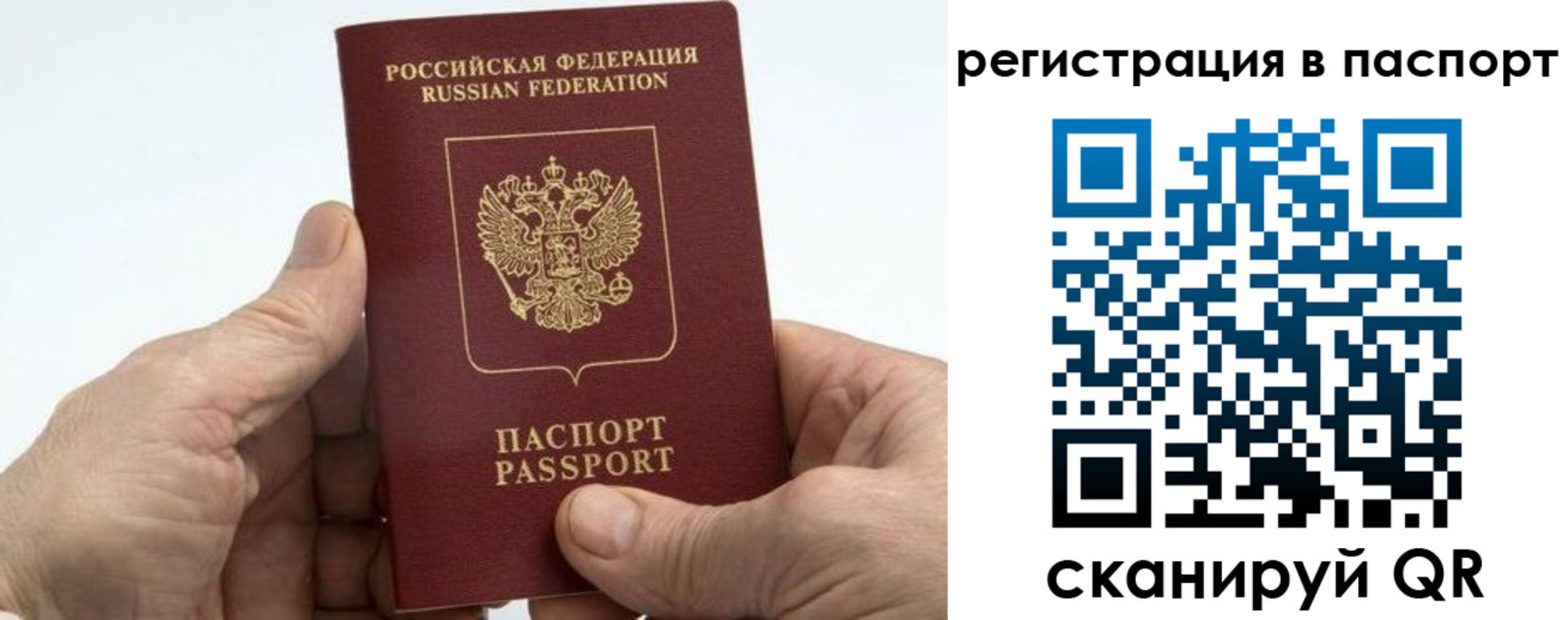 купить прописку в Калининградской области